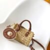 Louis Vuitton top original single Raffia nano speedy handbag