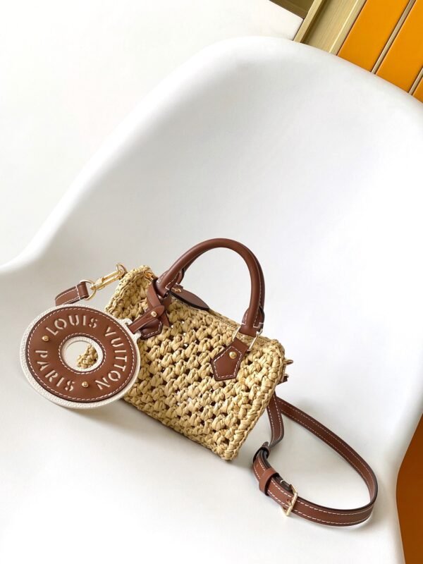 Louis Vuitton top original single Raffia nano speedy handbag