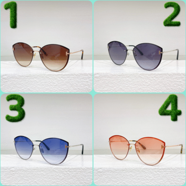 Tom Ford Sunglasses Premium Edition 1:1