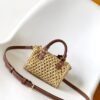 Louis Vuitton top original single Raffia nano speedy handbag