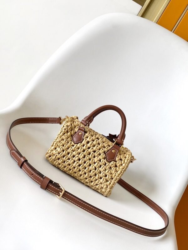 Louis Vuitton top original single Raffia nano speedy handbag