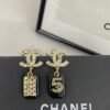 CHAN 23 Black resin 5-shaped bag ear studs