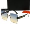 Hermes Sunglasses