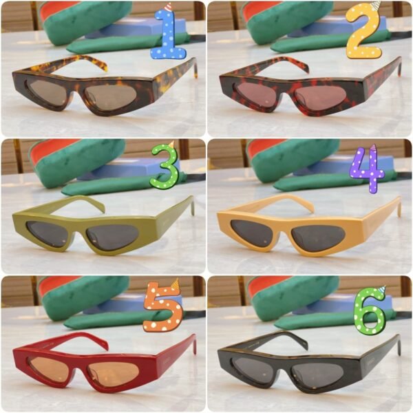 GUCCI new sunglasses advanced version