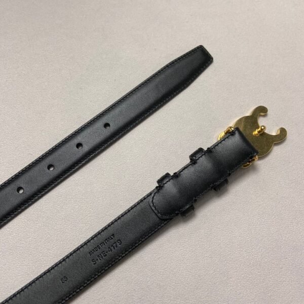 Celine belt, premium version, genuine leather, 1:1 replica sizeWidth 2.5 cm