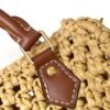 Louis Vuitton top original single Raffia nano speedy handbag