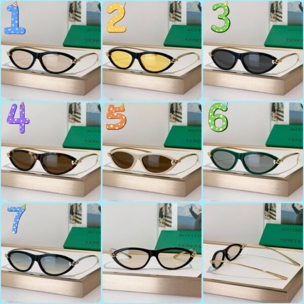 BOTTEGA VENETA Sunglasses Premium Edition Premium Edition Size: 56-14-145