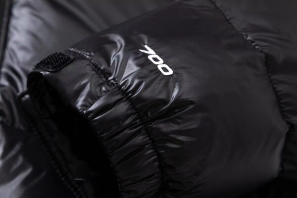 the north face 700 women short goose down jacket