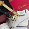 Cartier classic bathtub series