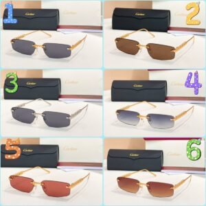 Cartier new sunglasses Premium SIZE: 48 ports 21-14