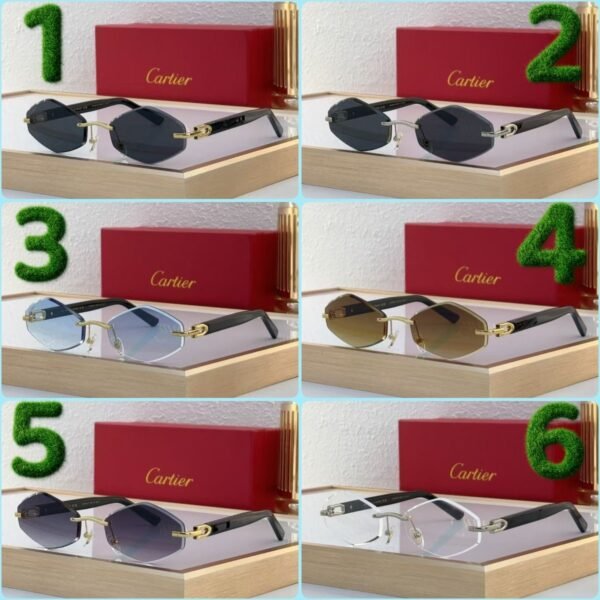 Cartier Sunglasses Premium Edition