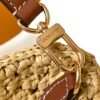 Louis Vuitton top original single Raffia nano speedy handbag