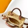 Louis Vuitton top original single Raffia nano speedy handbag