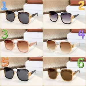 9242.jpg Celine premium sunglasses SIZE: 57 17-142