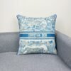 DIOR 50x50cm embroidered pillow Premium gift box packaging