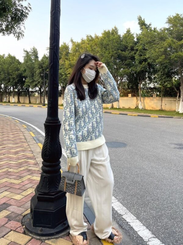 DIOR Classic full printed jacquard letter knitted sweater