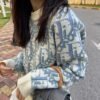 DIOR Classic full printed jacquard letter knitted sweater