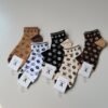 Louis Vuitton socks