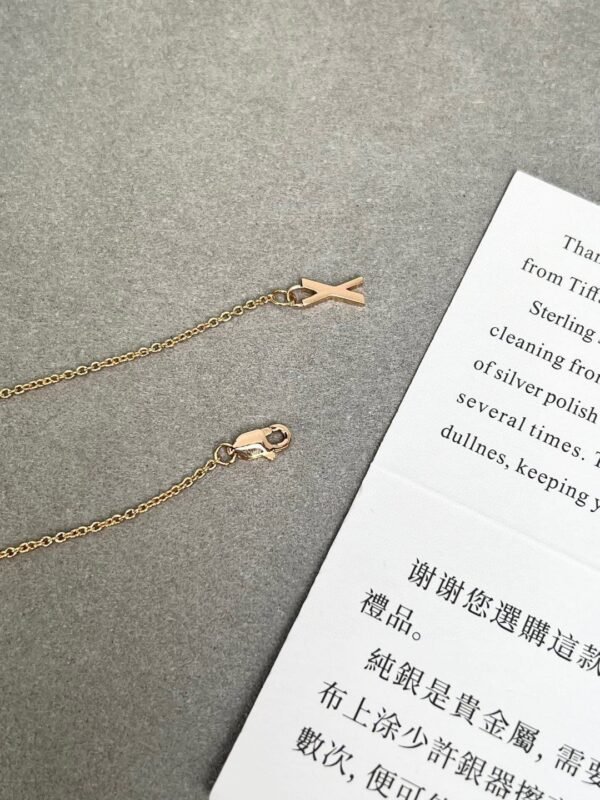 Tiffany necklace premium version
