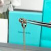 Tiffany necklace premium version