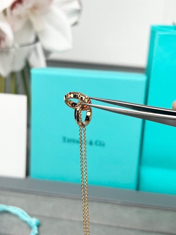 Tiffany necklace premium version