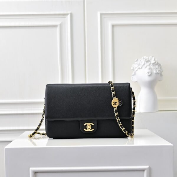 CHANEL Classic bag 23x15cm