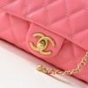 Chanel New Handbags 19x12cm
