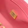 Chanel New Handbags 19x12cm