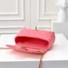 Chanel New Handbags 19x12cm