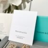 Tiffany Woven series key earrings Premium 1:1