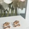 Van Cleef & Arpels four-leaf clover full diamond earrings Premium
