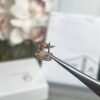 Van Cleef & Arpels four-leaf clover full diamond earrings Premium