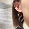 DIOR letter earrings