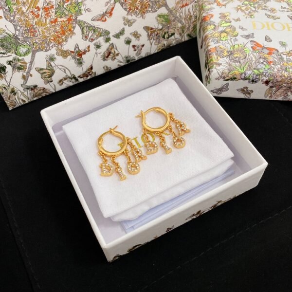 DIOR letter earrings