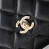Chanel 2025 New Handbag Cosmetic Bag Premium Edition 19cm