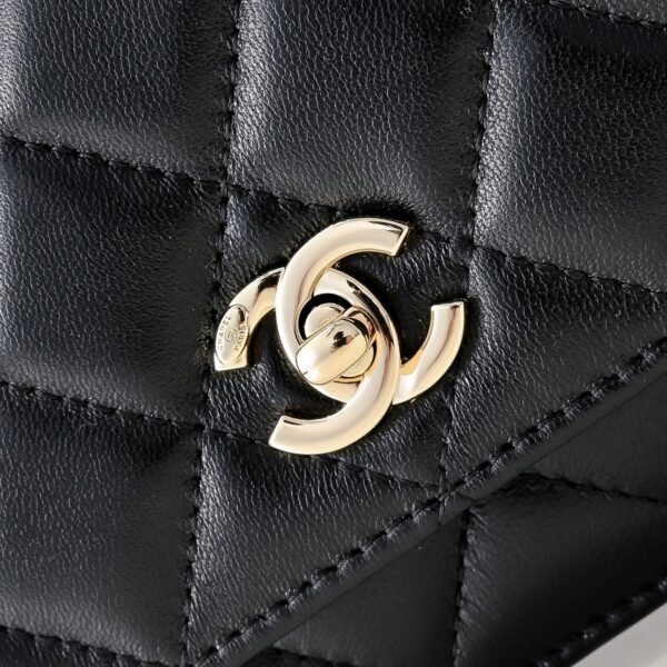 Chanel 2025 New Handbag Cosmetic Bag Premium Edition 19cm