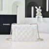 Chanel 2025 New Handbag Cosmetic Bag Premium Edition 19cm