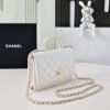 Chanel 2025 New Handbag Cosmetic Bag Premium Edition 19cm
