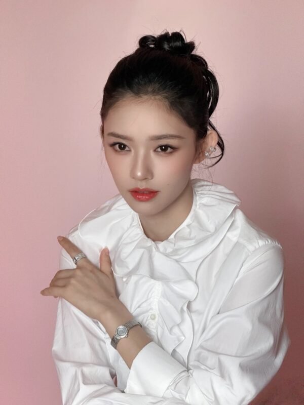 DIOR’s new minimalist combed poplin cotton small stand-up collar shirt 100% pure cotton excellent quality clothing