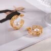 Dior New Letter CD Earrings