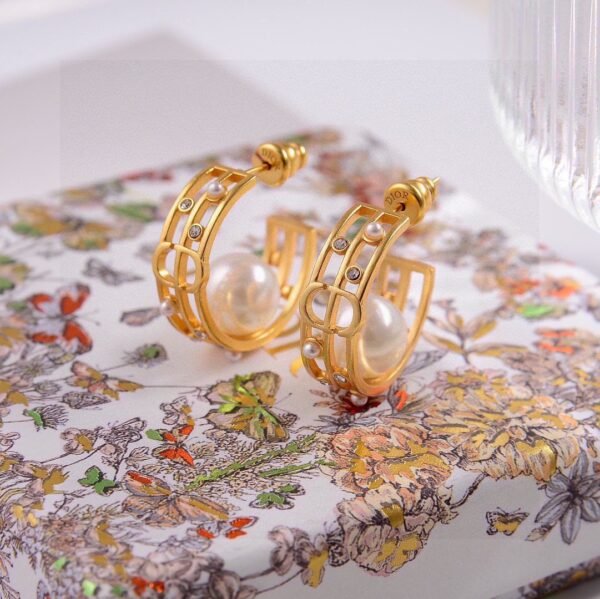 Dior New Letter CD Earrings