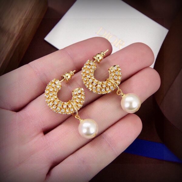 DIOR’s new artistic hollow earrings