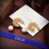 DIOR’s new artistic hollow earrings