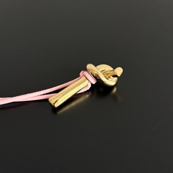 Bottega Veneta Andiamo Evening Clutch Premium Edition Pink 31*13*3cm