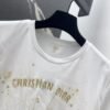 DIOR Spring/Summer new gold thread pattern embroidered short-sleeved T-shirt