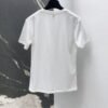 DIOR Spring/Summer new gold thread pattern embroidered short-sleeved T-shirt
