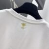 DIOR Spring/Summer new gold thread pattern embroidered short-sleeved T-shirt