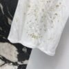 DIOR Spring/Summer new gold thread pattern embroidered short-sleeved T-shirt