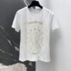 DIOR Spring/Summer new gold thread pattern embroidered short-sleeved T-shirt