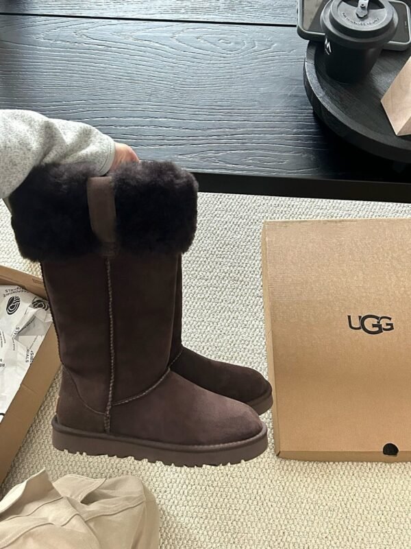 cmp_i1761153463873_5927_0_3.jpg UGG’s new winter boots feature a wool lining.